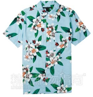 ż| SHORT SLEEVED SHIRT  Ľ