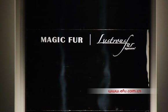 /ѧMAGIC FUR 2012/13ﶬİϺ