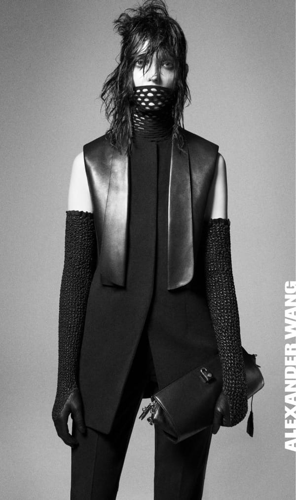 Alexander Wang 2012ﶬҹƬԤ(ͼ)KatiNescherԤAlexanderﶬ