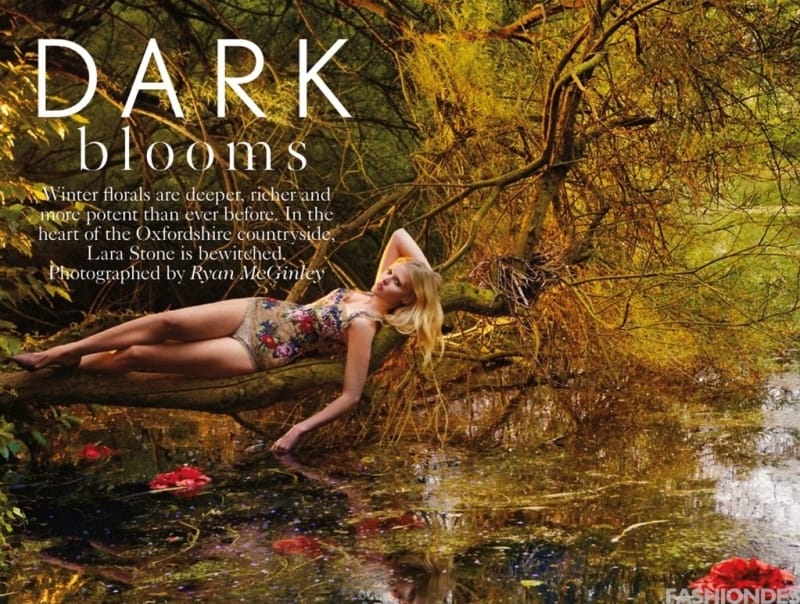 Dark BloomsġVogue UK¿ҹƬ(ͼ)ţͻҹƬ