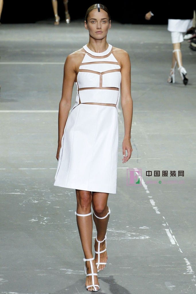 Alexander Wang2013