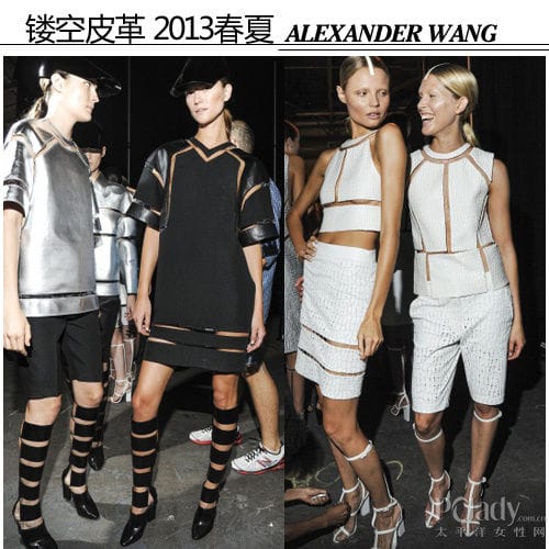 Alexander Wang ĵƷ