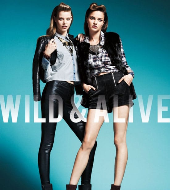 WILD&ALIVE2013ﶬ״ҹƬͳWILDﶬ״ҹƬͳ