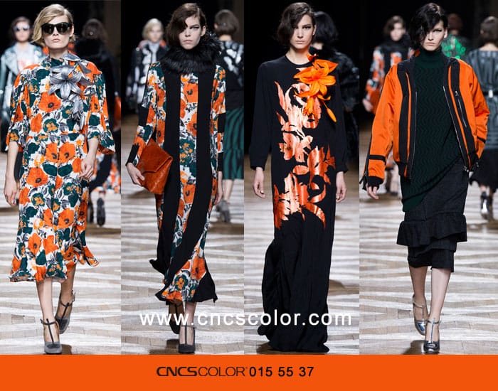 2014ﶬDries Van Notenɫʷ2014ﶬDriesVanNoten