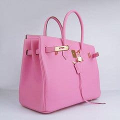 birkin2