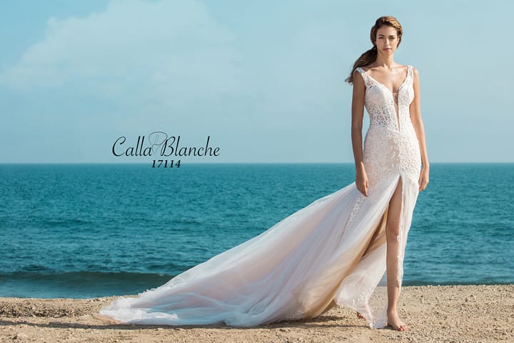 Calla Blanche 2017Ļɴϵ