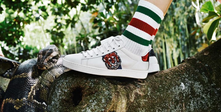 Gucci 2016ϵйƬ