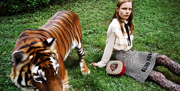 Gucci 2016ϵйƬ