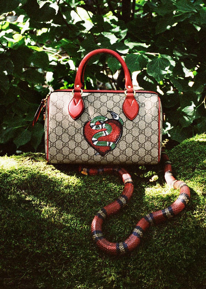 Gucci 2016ϵйƬ