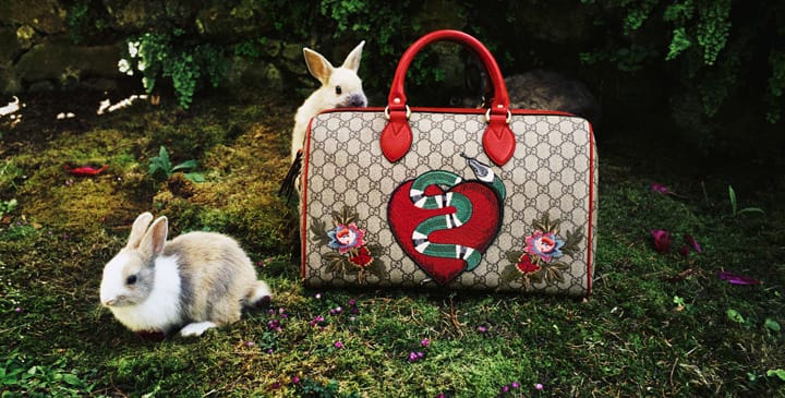 Gucci 2016ϵйƬ