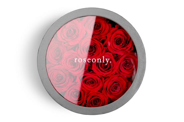 roseonlyѡòԲ