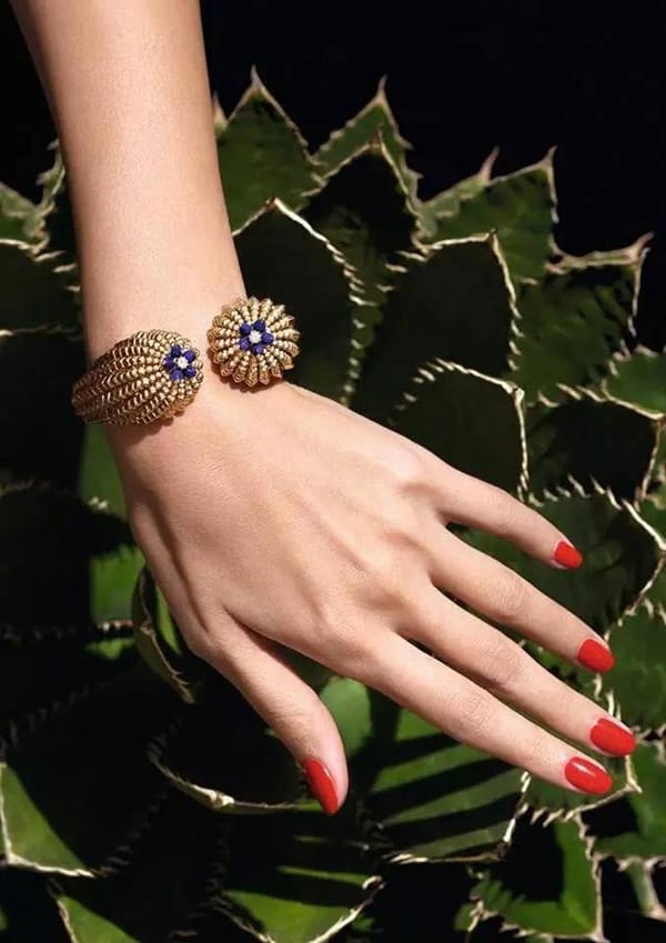 Cactus de Cartier ϵʢ