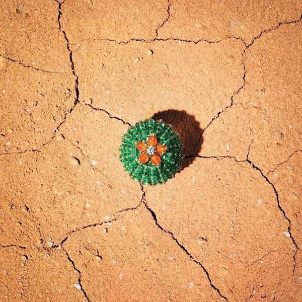 Cactus de Cartier ϵʢ