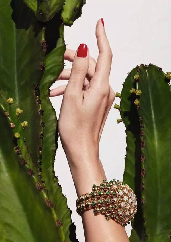 Cactus de Cartier ϵʢ