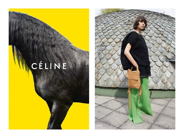 Cline 2016ﶬϵйƬ