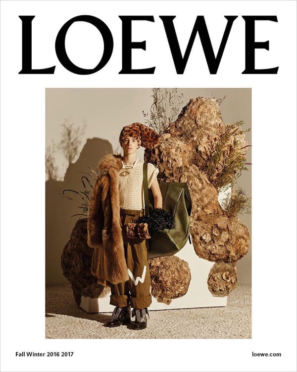 Loewe 2016ﶬϵйƬ