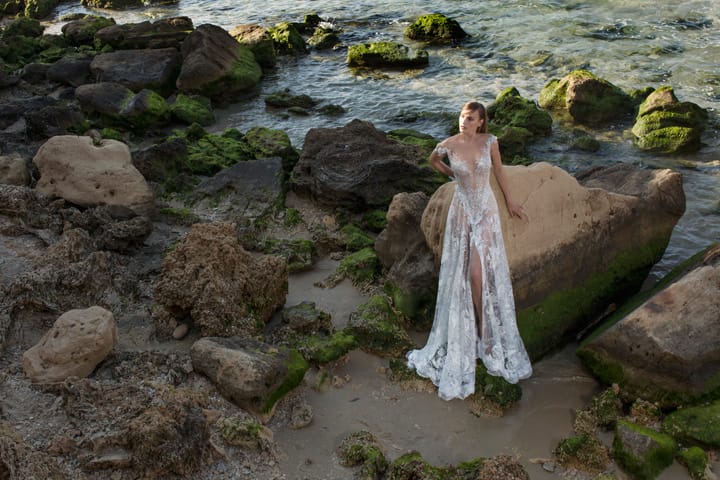 Nurit Hen Royal ߼ϵлɴ