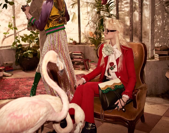 Gucci 2016ϵйƬ