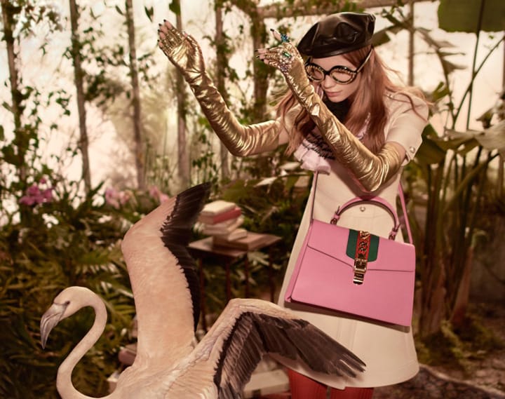 Gucci 2016ϵйƬ