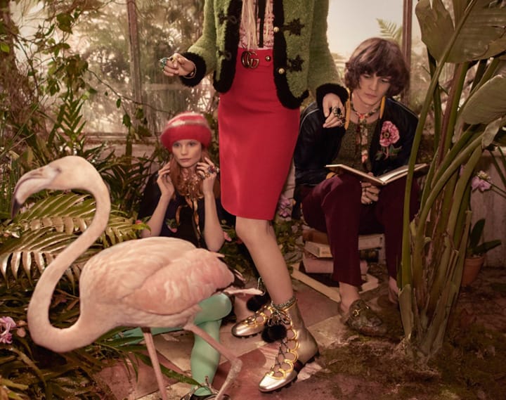 Gucci 2016ϵйƬ