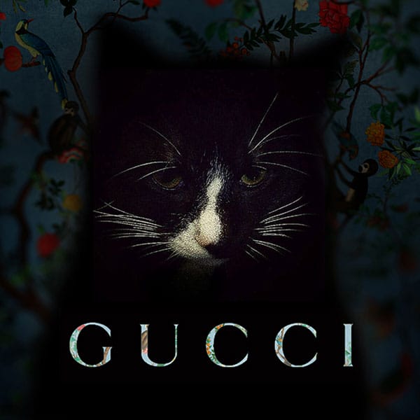 Gucci ųٴƳִĿ