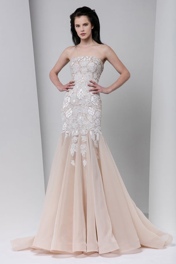 Tony Ward 2016ﶬз