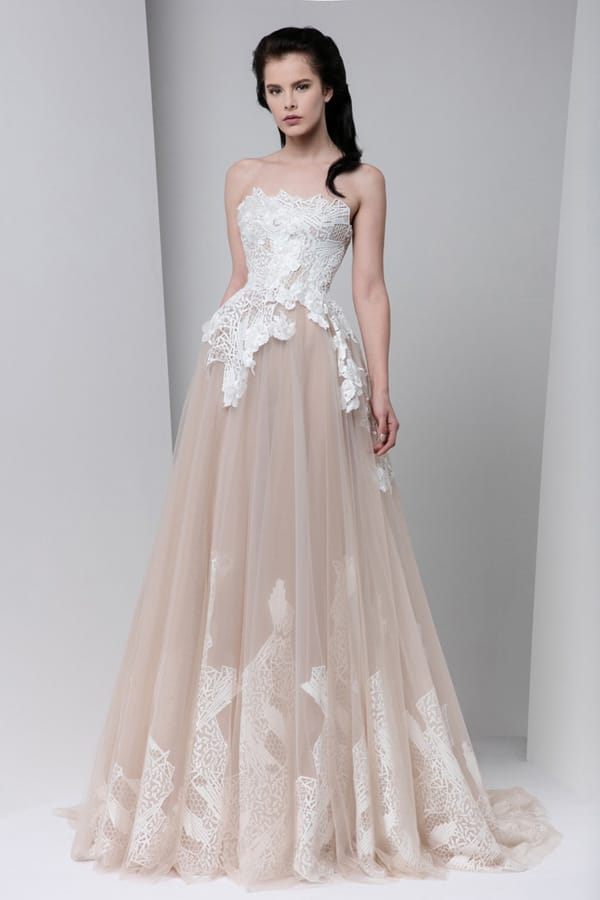 Tony Ward 2016ﶬз