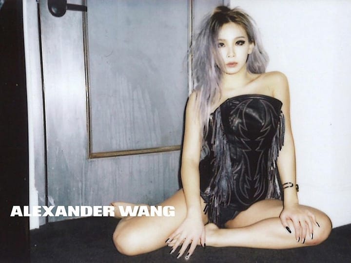 Alexander Wang 2016ϵйƬ