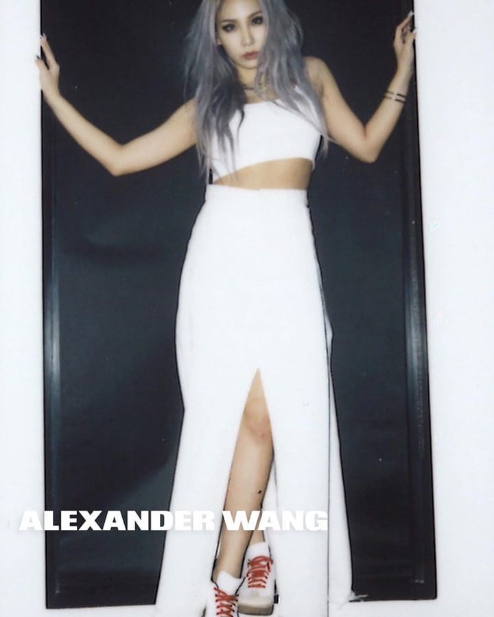 Alexander Wang 2016ϵйƬ