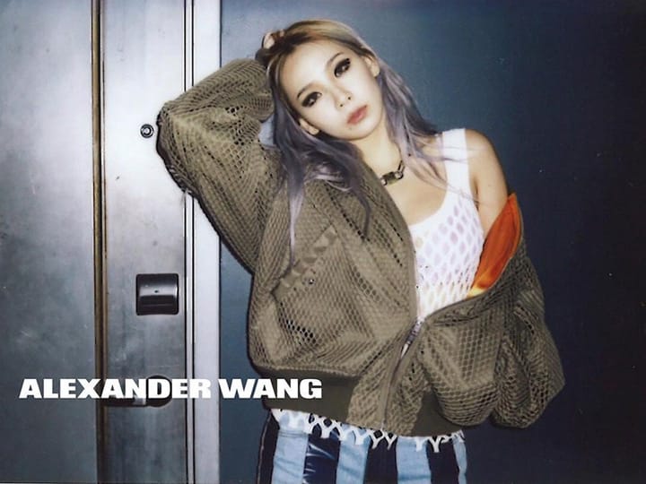 Alexander Wang 2016ϵйƬ