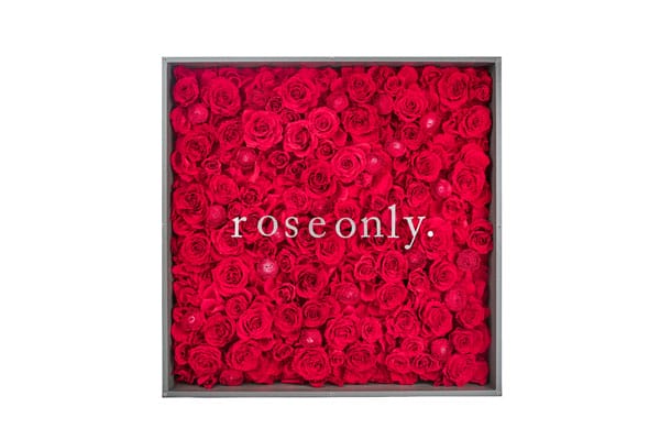 ʫʫҸroseonlyͶõ壬ڼ