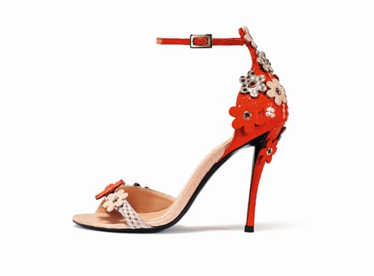 ǹҫ Roger Vivier޽ܡάά