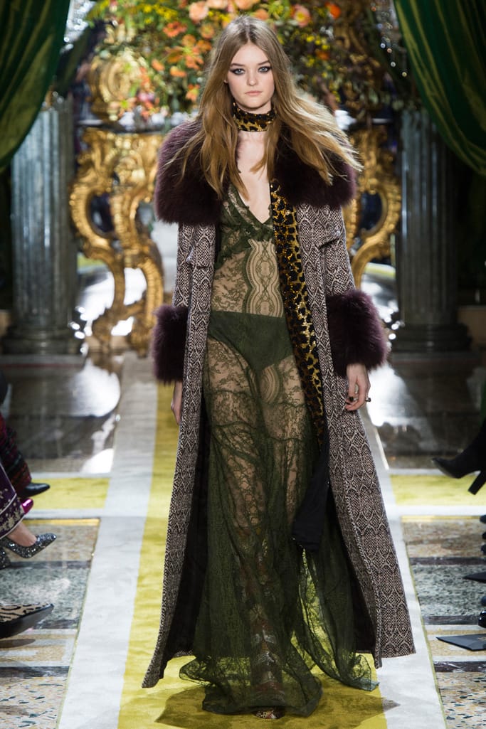 Roberto Cavalli 2016ﶬз