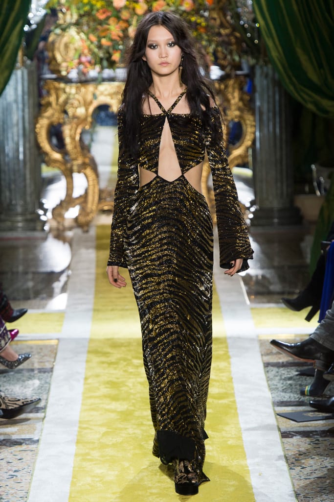 Roberto Cavalli 2016ﶬз