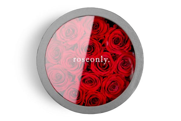 roseonly 2016˽