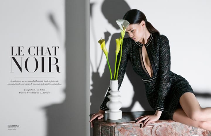 Diana MoldovanHarpers Bazaarǰ201511º