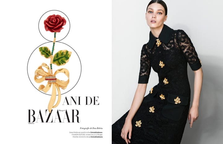 Diana MoldovanHarpers Bazaarǰ201511º