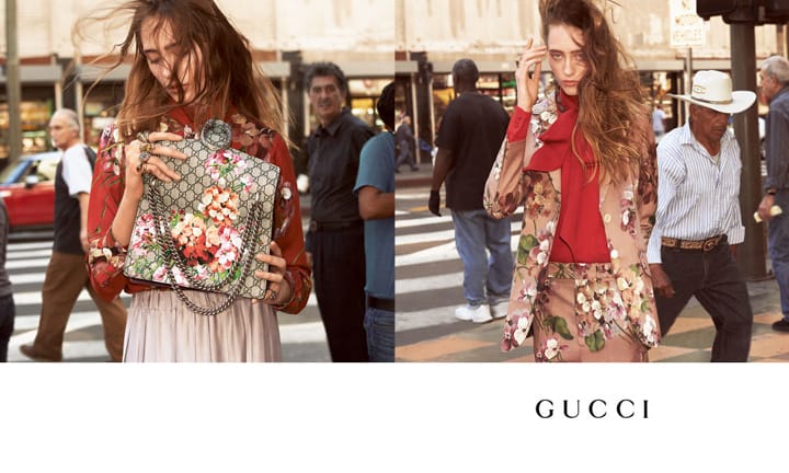 Gucci 2015ﶬϵйƬ