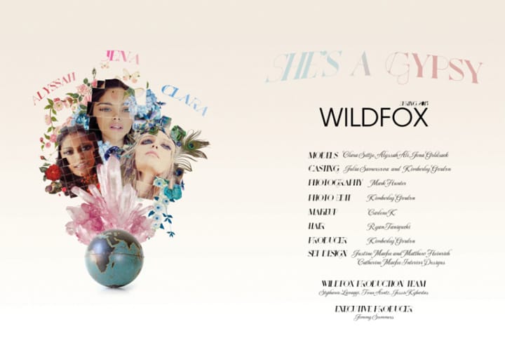 Wildfox 2015ϵLookBook