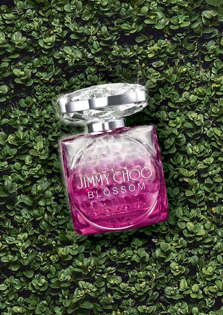 Jimmy Choo ȫBlossomͷŮԵ㾫