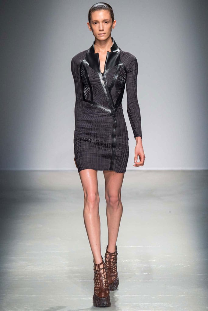 Iris van Herpen 2015ﶬз