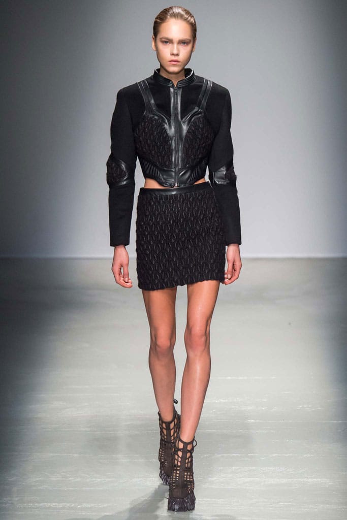 Iris van Herpen 2015ﶬз