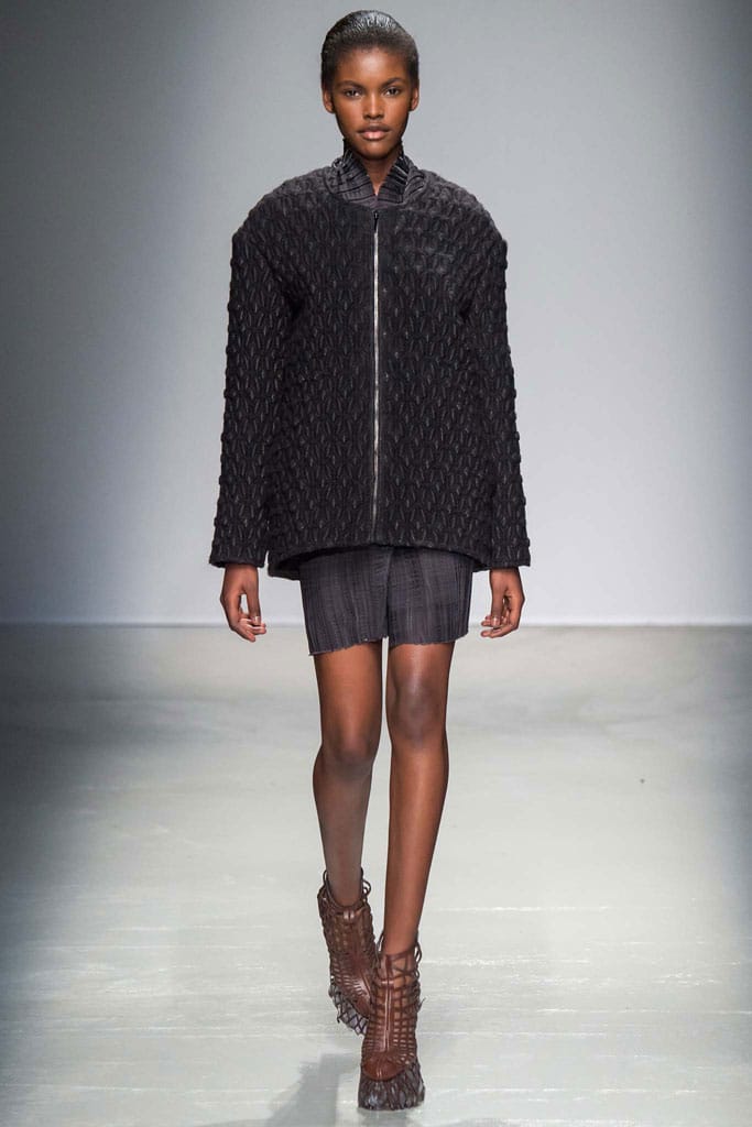 Iris van Herpen 2015ﶬз