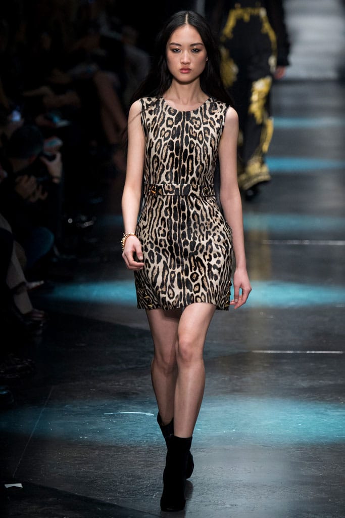 Roberto Cavalli 2015ﶬз