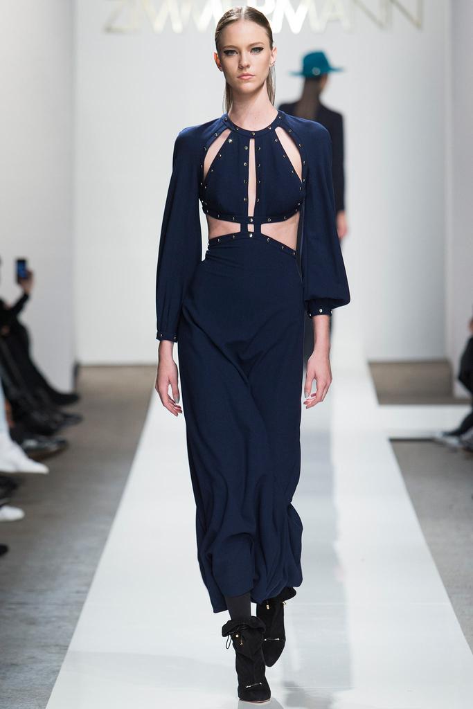 Zimmermann 2015ﶬз