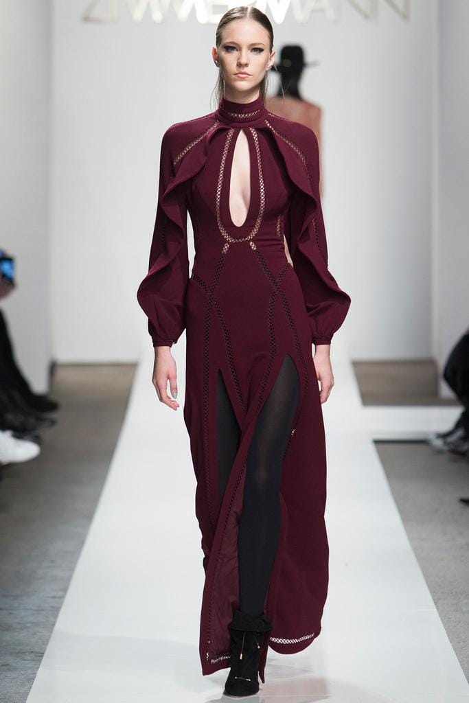 Zimmermann 2015ﶬз