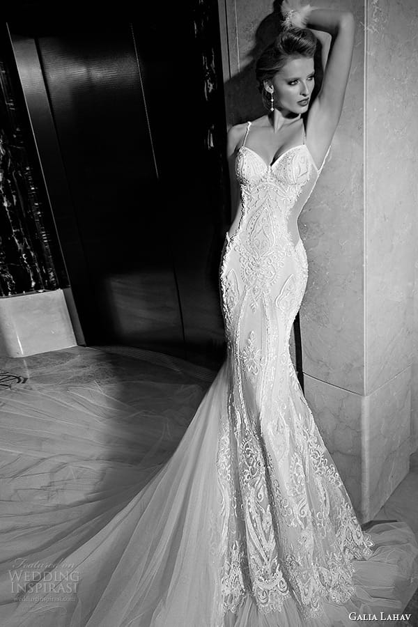 Galia Lahav 2015ﶬɴƬ