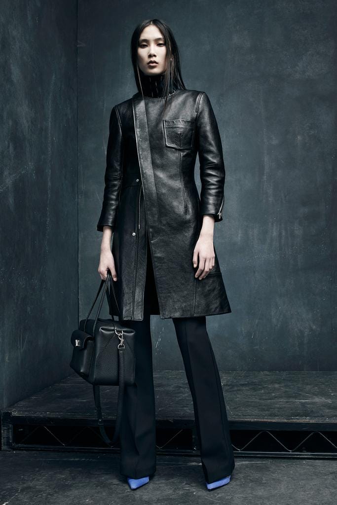 Alexander Wang 2015ϵз