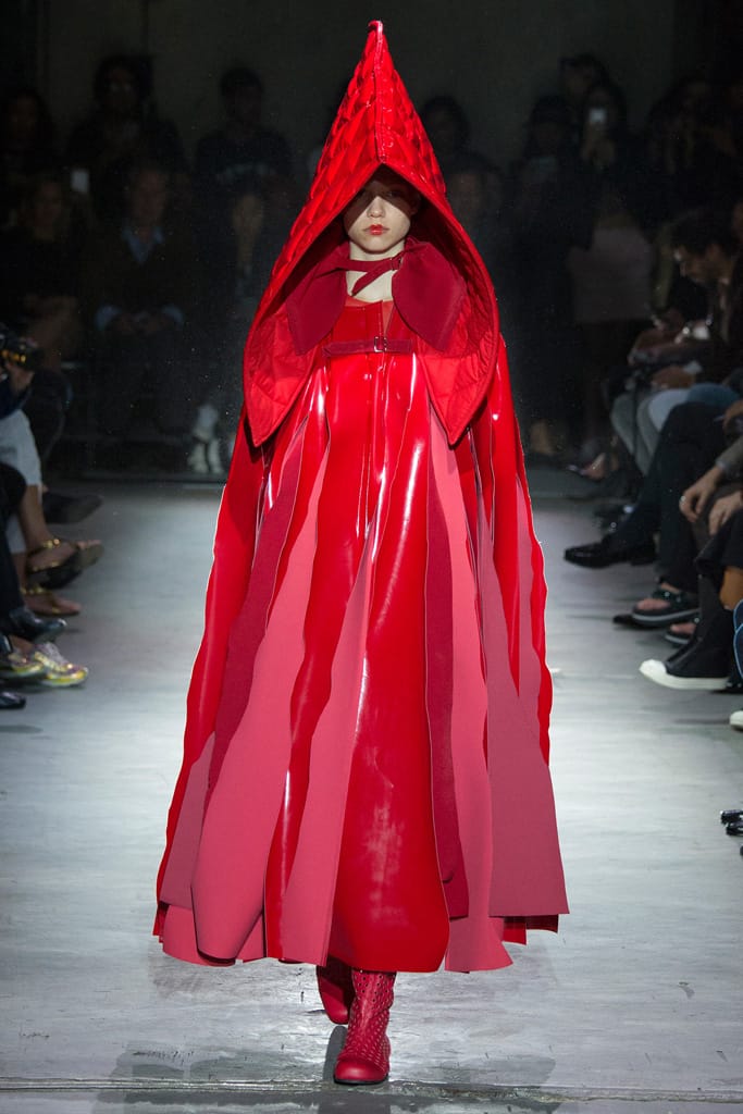 Comme des Garçons 2015з