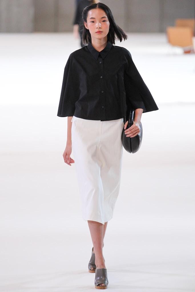 Christophe Lemaire 2015з